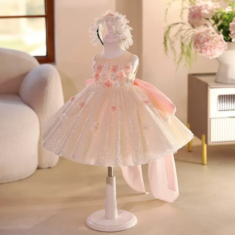 Robe Princesse Fleurie Ivoire et Rose Poudré