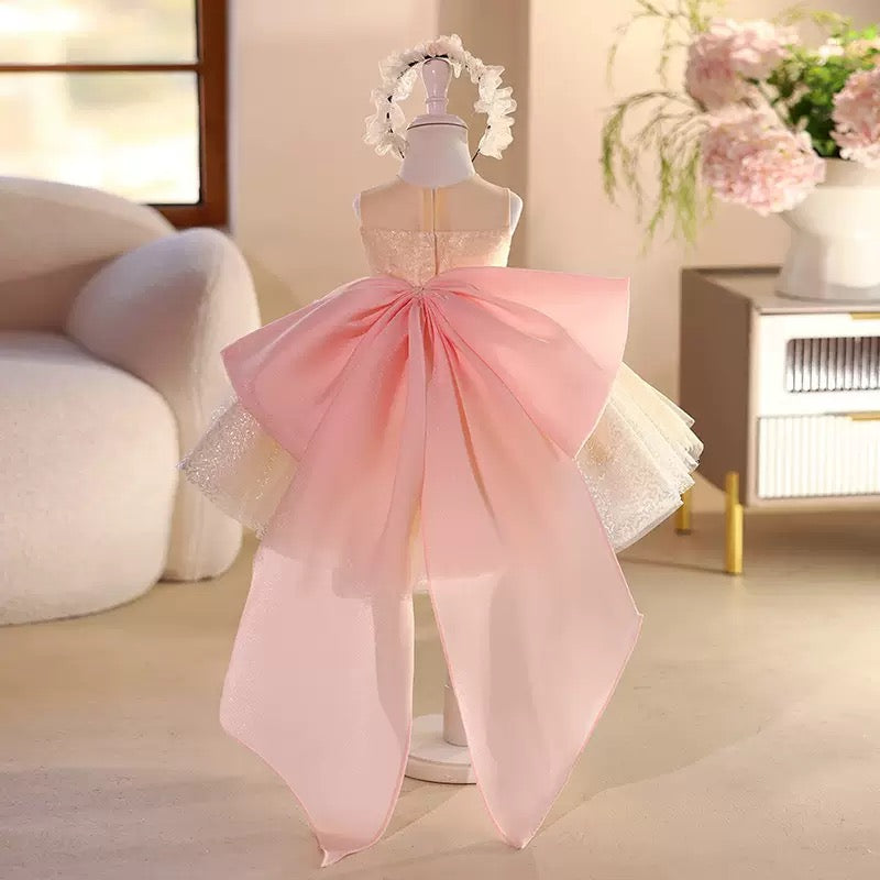 Robe Princesse Fleurie Ivoire et Rose Poudré