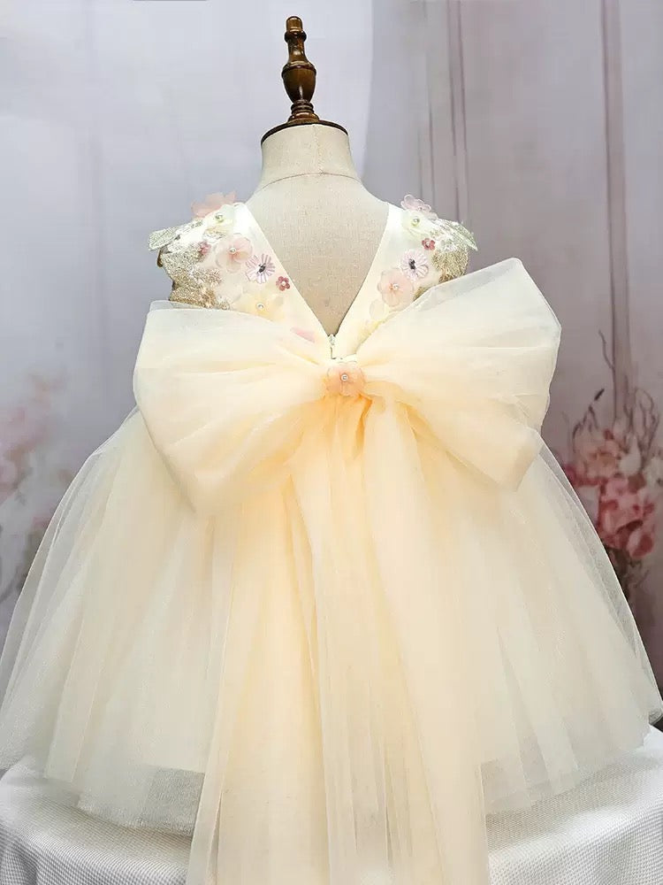 Robe Princesse Fleurie Ivoire et Rose Poudré